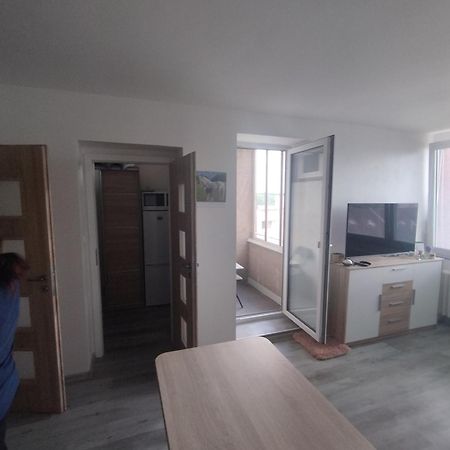 Byt Sezimovo Usti Apartment Tabor Bagian luar foto