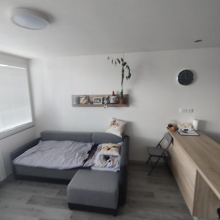 Byt Sezimovo Usti Apartment Tabor Bagian luar foto